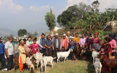 Livelihood Support Activities Strengthen Resilience and Income Opportunities for Vulnerable Households